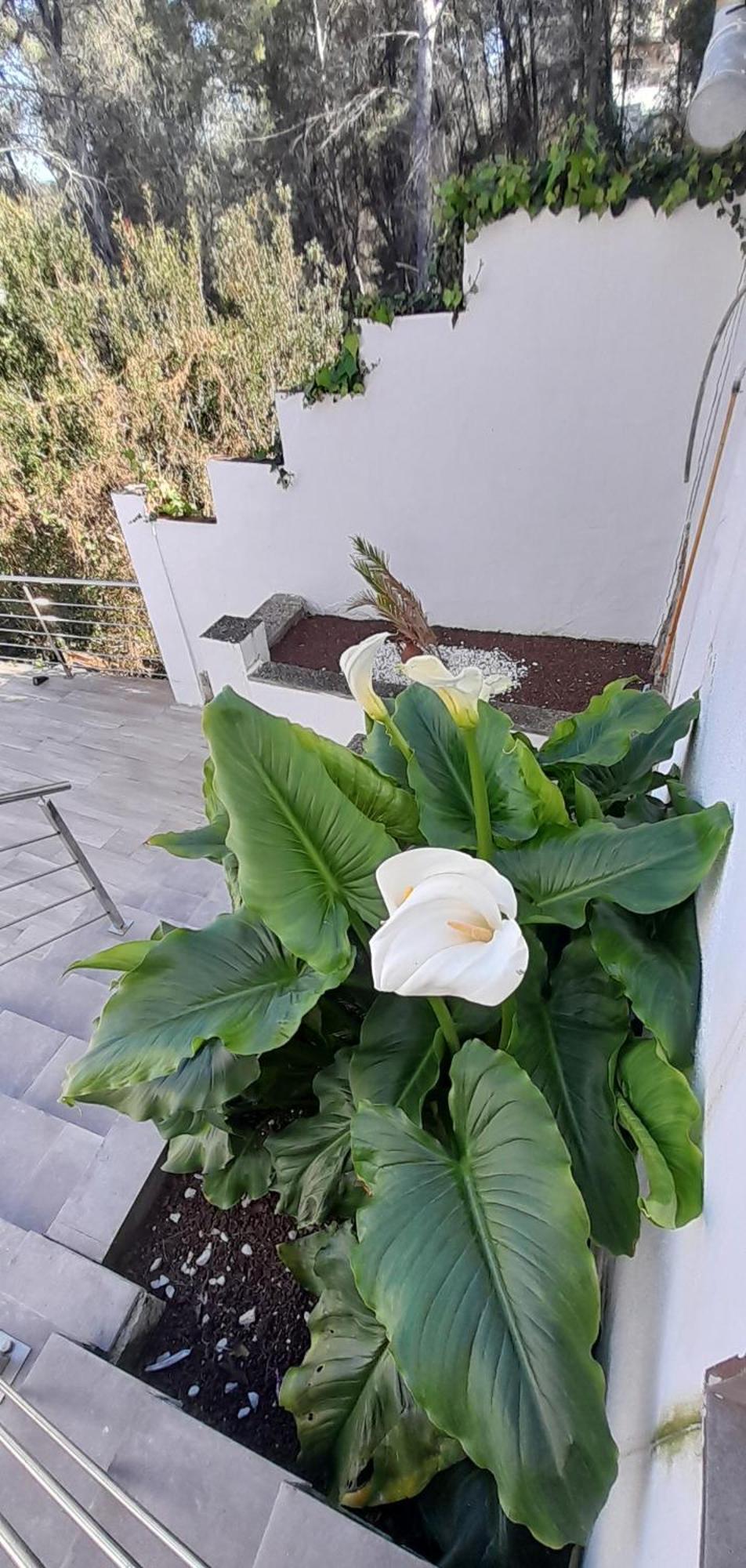 Villa Avril Piscina Privada Y Amplias Terrazas Olivella Kültér fotó
