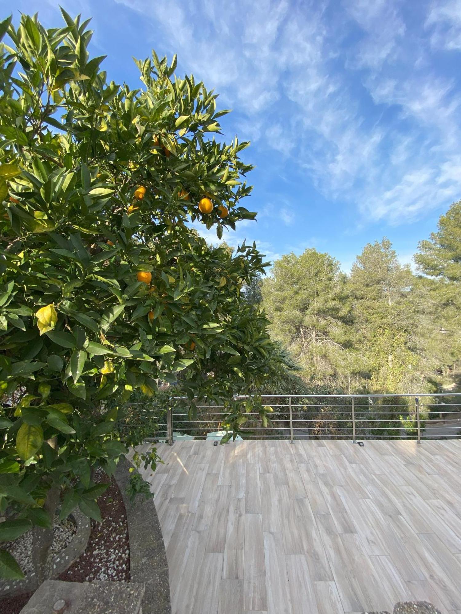 Villa Avril Piscina Privada Y Amplias Terrazas Olivella Kültér fotó